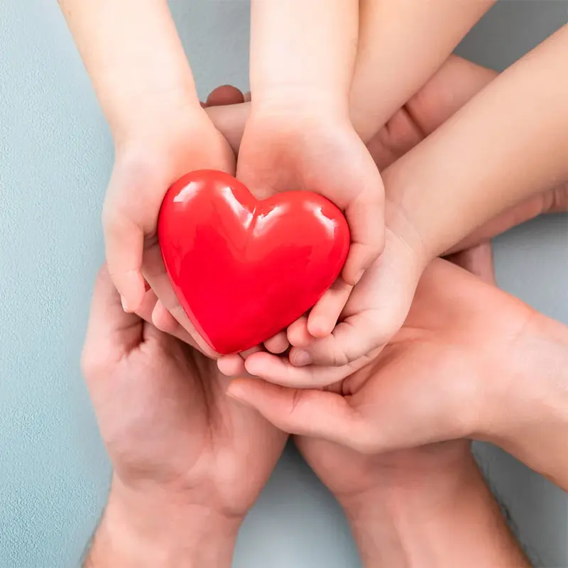 Hands Holding A Red Plastic Heart
