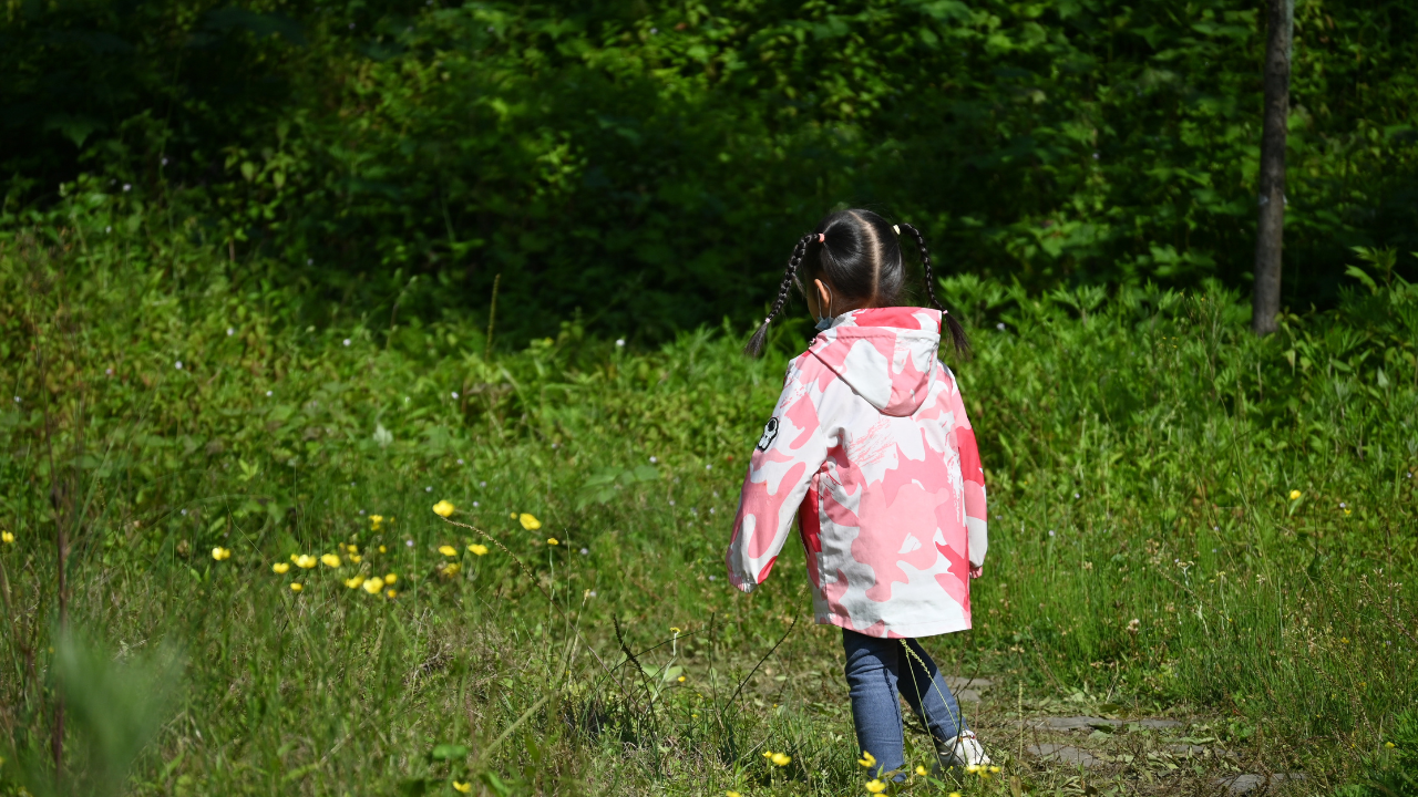 Outdoor Wonders For Website